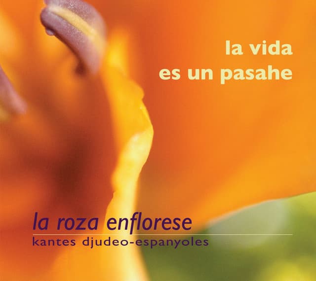 Durme, Durme, Mi Alma Donzeya cover art