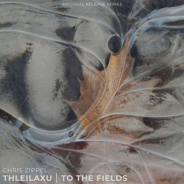 Thleilaxu | To The Fields cover art