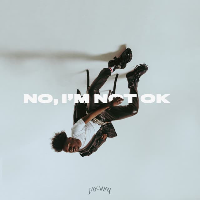 No, I'm Not Ok cover art