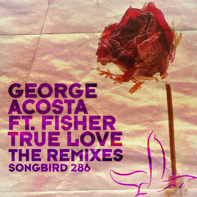 True Love - DJ Funkadelic & Beauriche Remix cover art