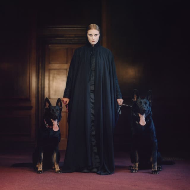 Good Boy (Live in London) cover art