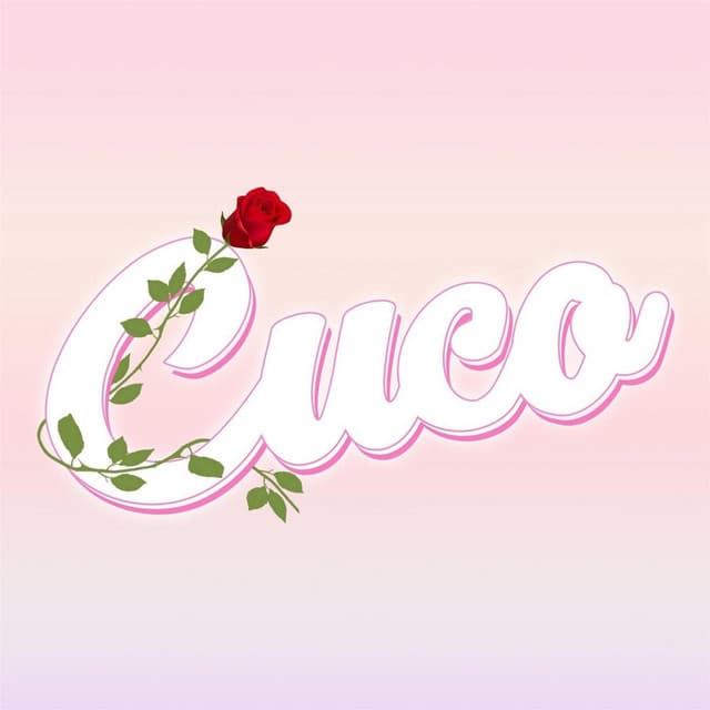 Songs4u cover art
