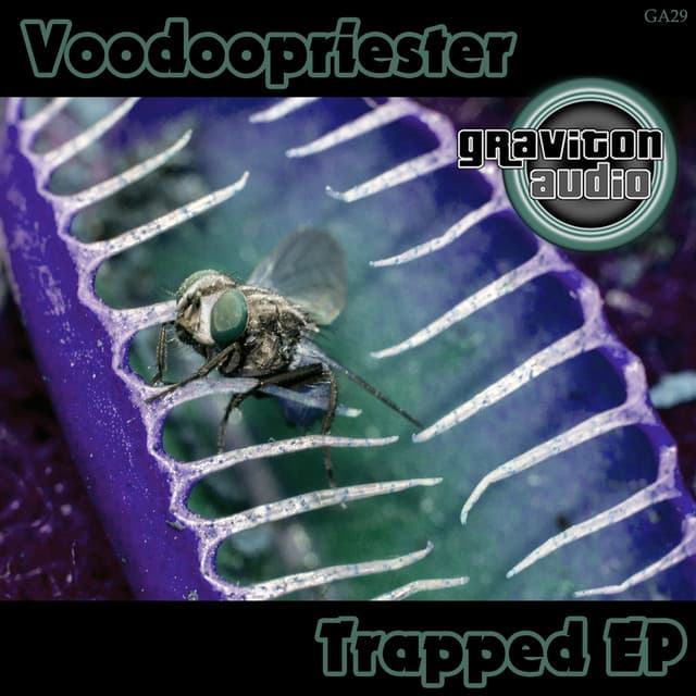 Voodoopriester