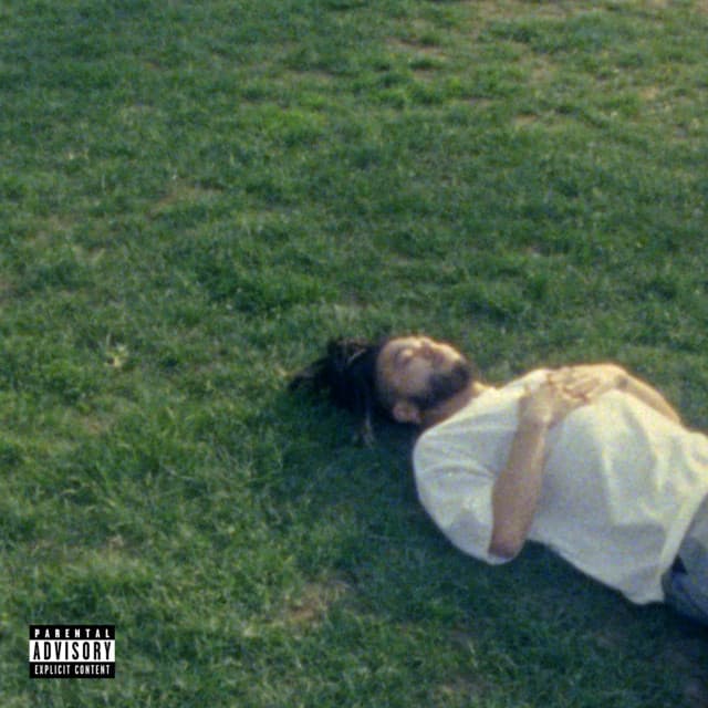 Trees cover art