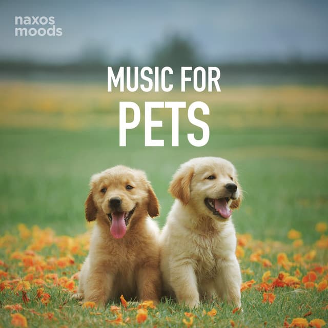 Music for Pets cover art