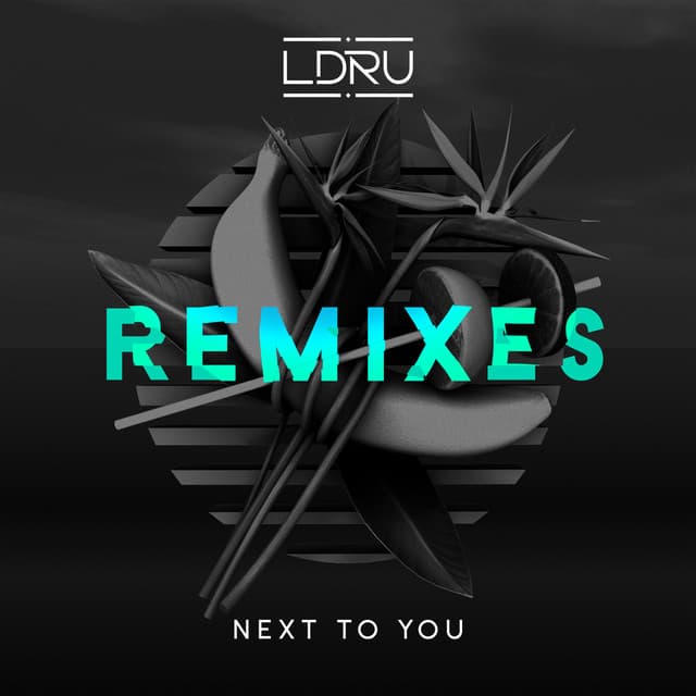 Next To You (feat. Savoi) - Barely Alive & Virtual Riot Remix cover art