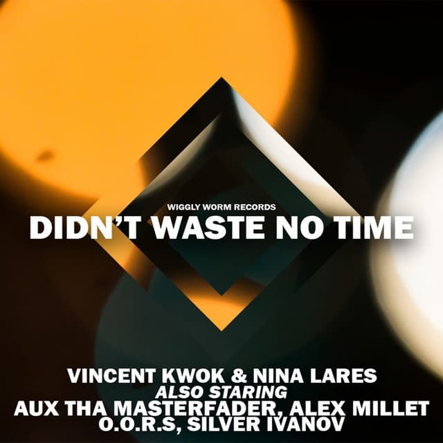 Didn't Waste No Time - Silver Ivanov Remix cover art