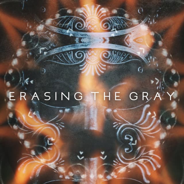 Erasing the Gray cover art