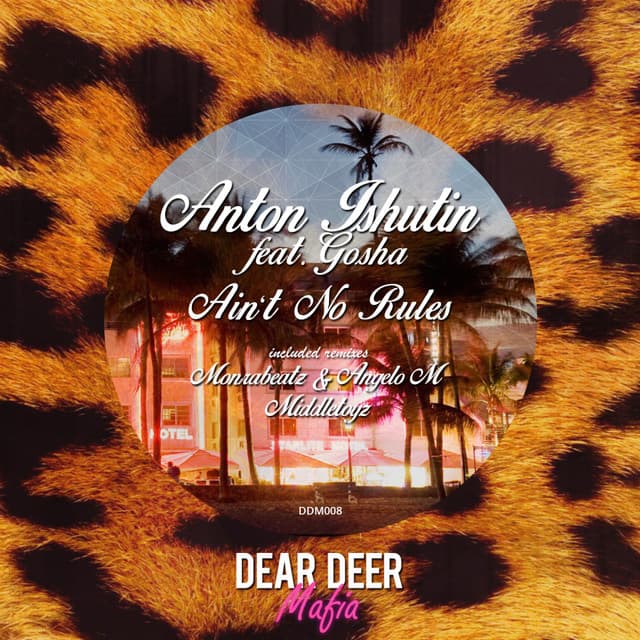 Ain't No Rules - Middletoyz Remix cover art