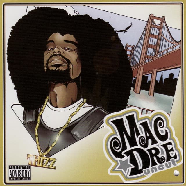 Thizzle Mountain cover art