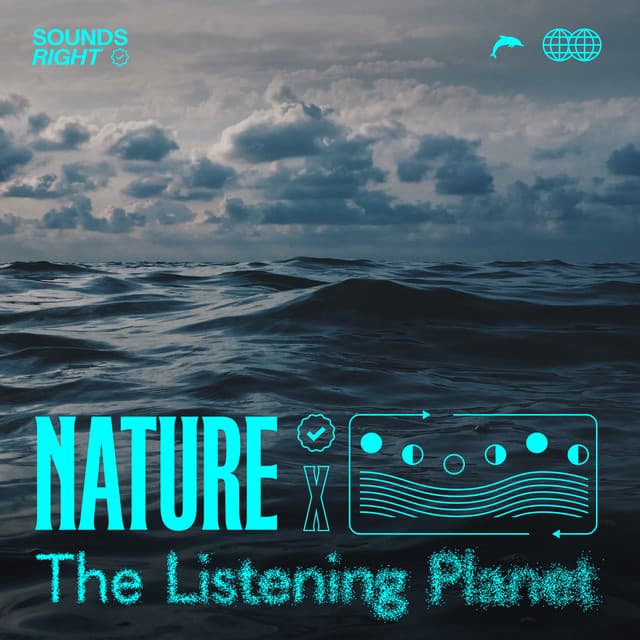 Rhythmic Waves in Neah Bay cover art