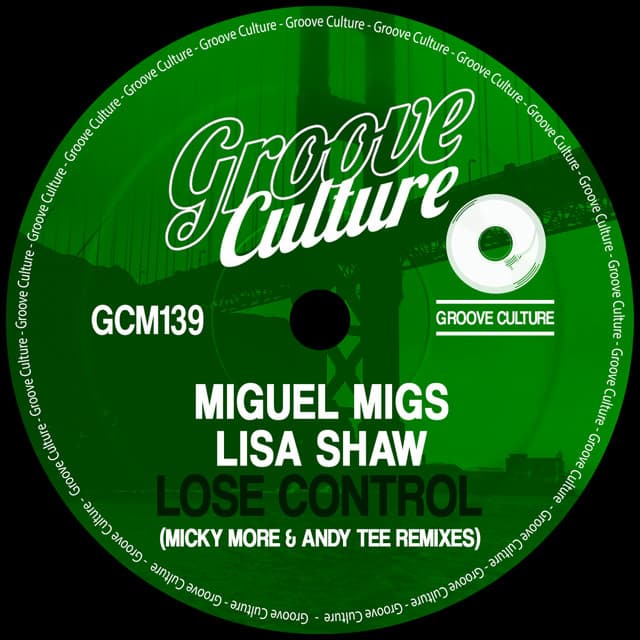 Lose Control (Micky More & Andy Tee Remixes) cover art