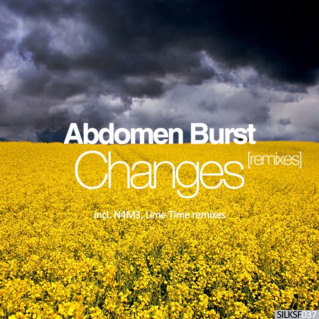 Changes - Ambient Mix cover art