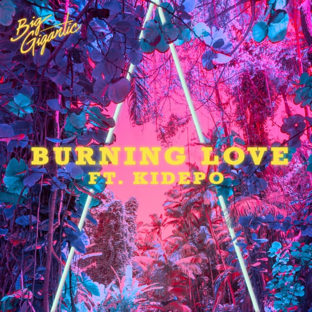 Burning Love cover art