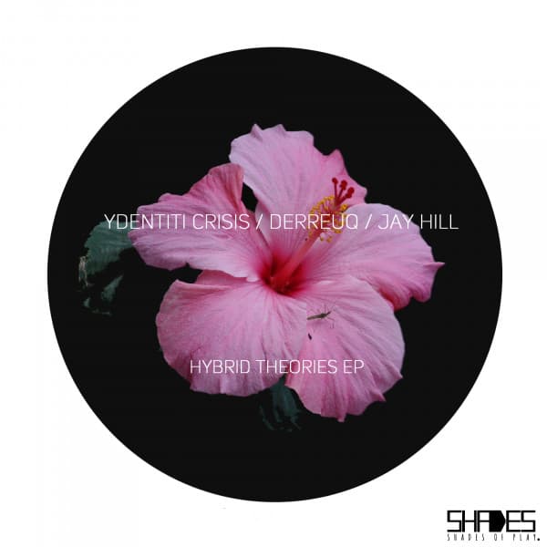 Hybrid Theories EP cover art