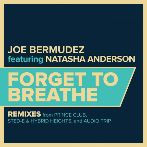 Forget To Breathe - Prince Club Remix Radio Edit cover art