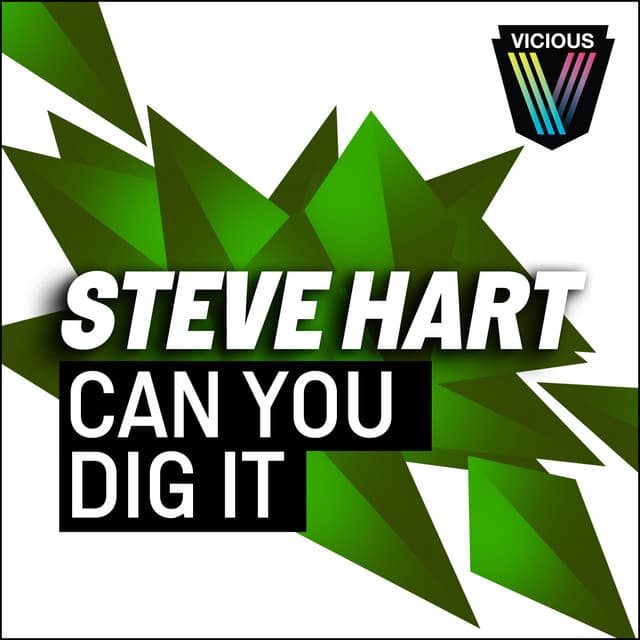 Can You Dig It cover art
