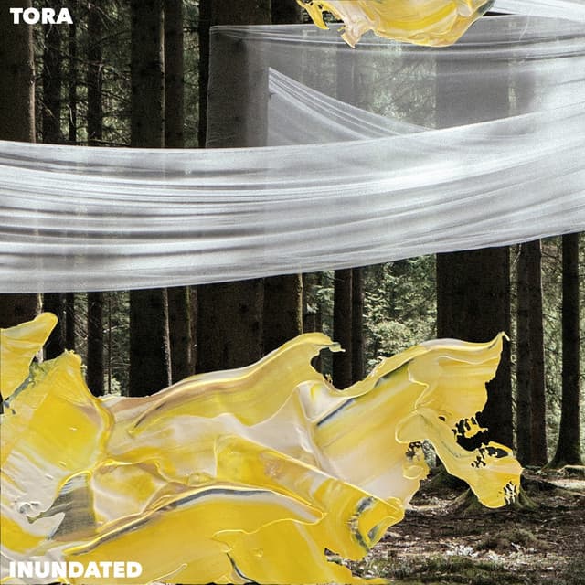 Inundated cover art