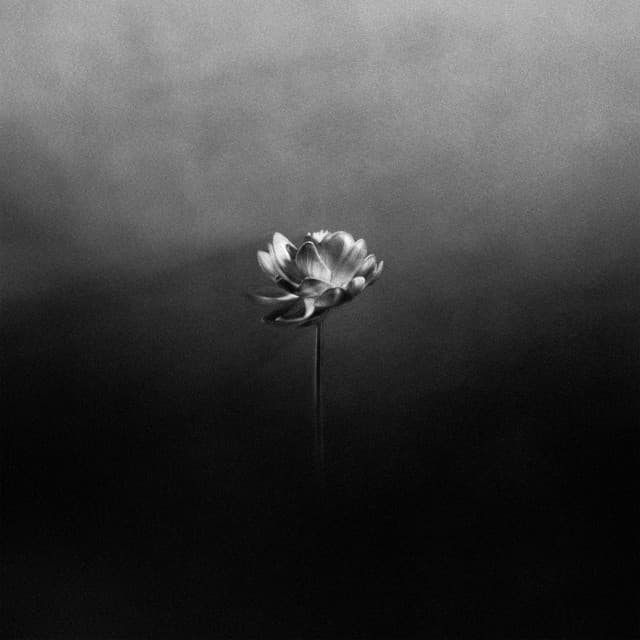 Free cover art