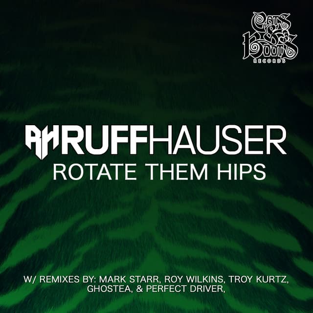 Rotate Them Hips - Troy Kurtz Remix cover art