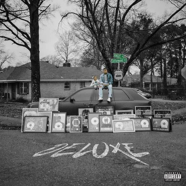 Cottonwood 2 (Deluxe) cover art