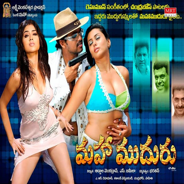 Madanapally Povaddammo cover art