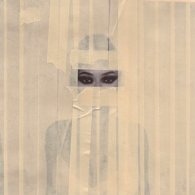 HABIBTI cover art
