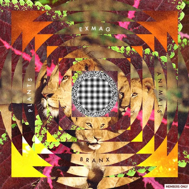 Game Genie (Interlude) [feat. Illumntr] cover art