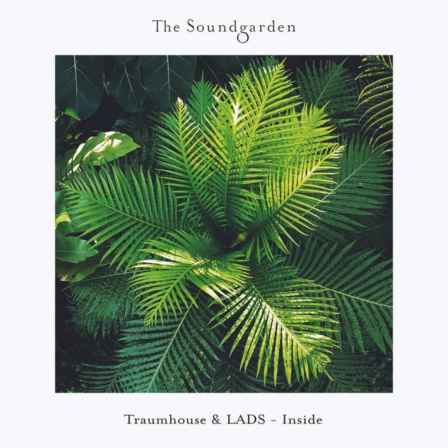 Inside cover art