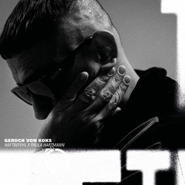 Geruch von Koks (feat. Paula Hartmann) cover art