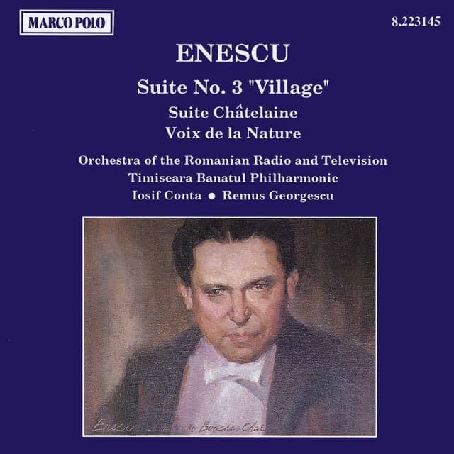 I. Allegro moderato cover art