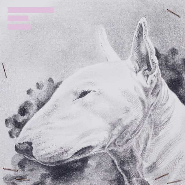Endless summer (feat. Bon Homme) cover art