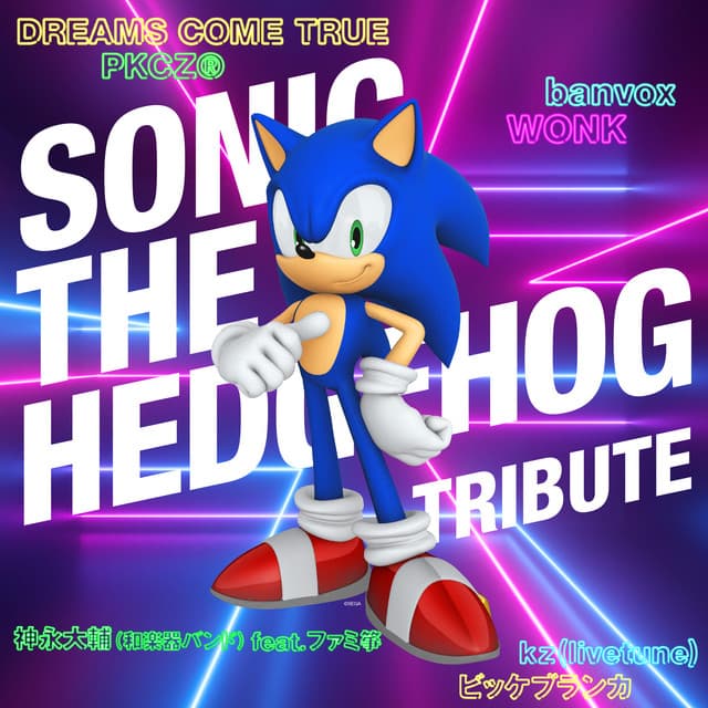 Sonic Special Stage - PKCZ(R) REMIX cover art