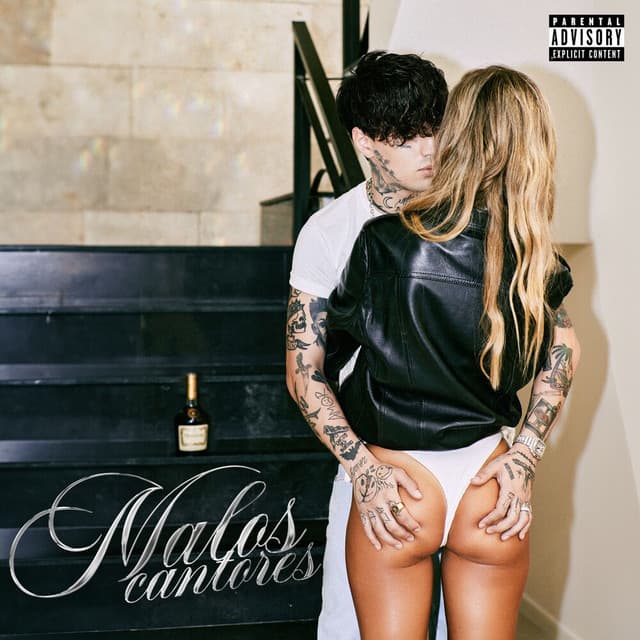Diamante en Bruto cover art