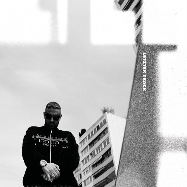 Letzter Track cover art