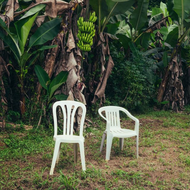 EoO cover art