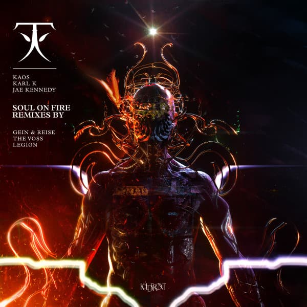 Soul On Fire - Gein & Reise Remix cover art