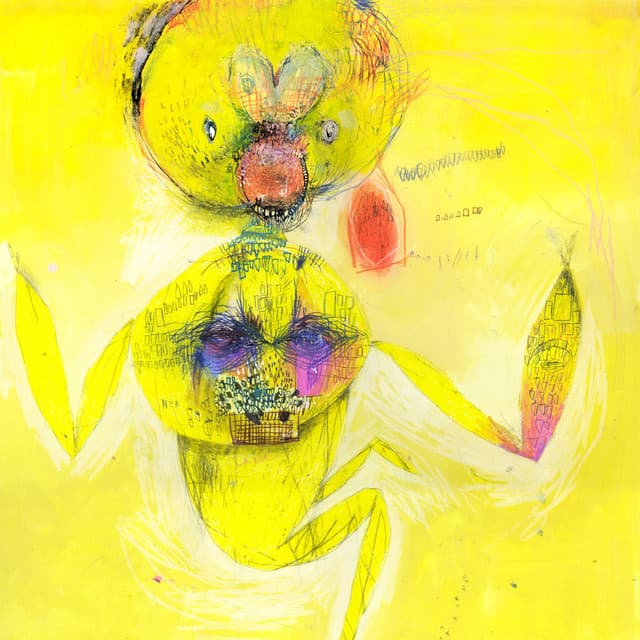 idola cover art