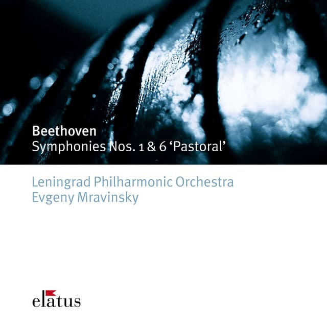 Beethoven: Symphony No. 6 in F Major, Op. 68 "Pastoral": II. Scene am Bach. Andante molto moto (Live at Leningrad, 1982) cover art