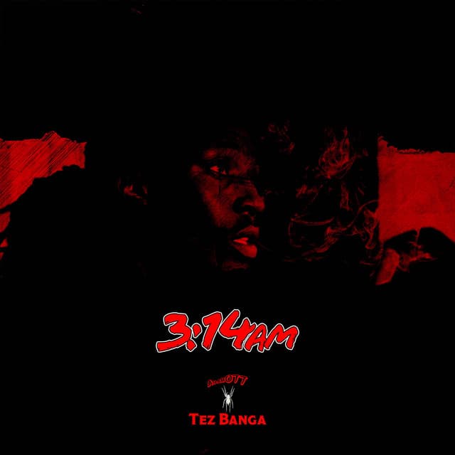 3:14AM In STL cover art