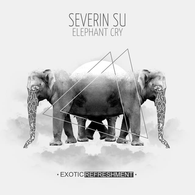 Elephant Cry - Baile Remix cover art