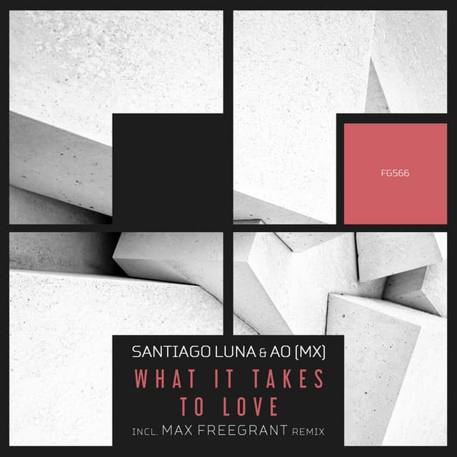 What It Takes To Love - Extended Mix cover art