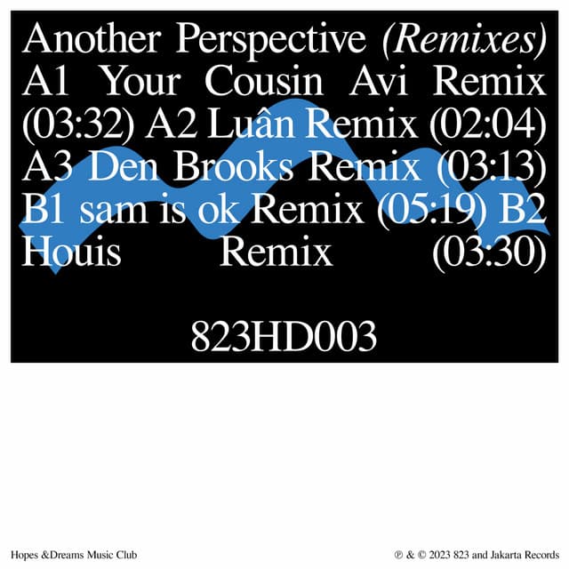 another perspective - Houis Remix cover art