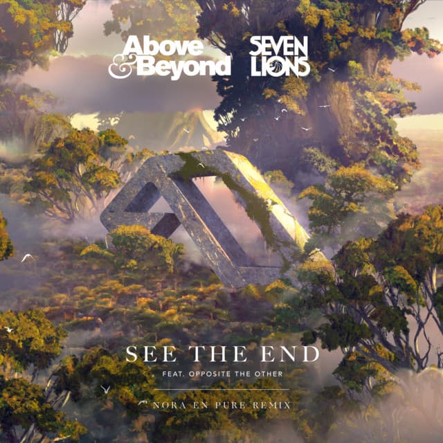 See The End - Nora En Pure Remix cover art