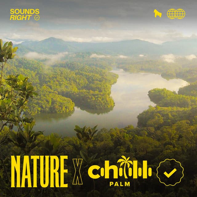 Sounds of the Colombian Amazon cover art
