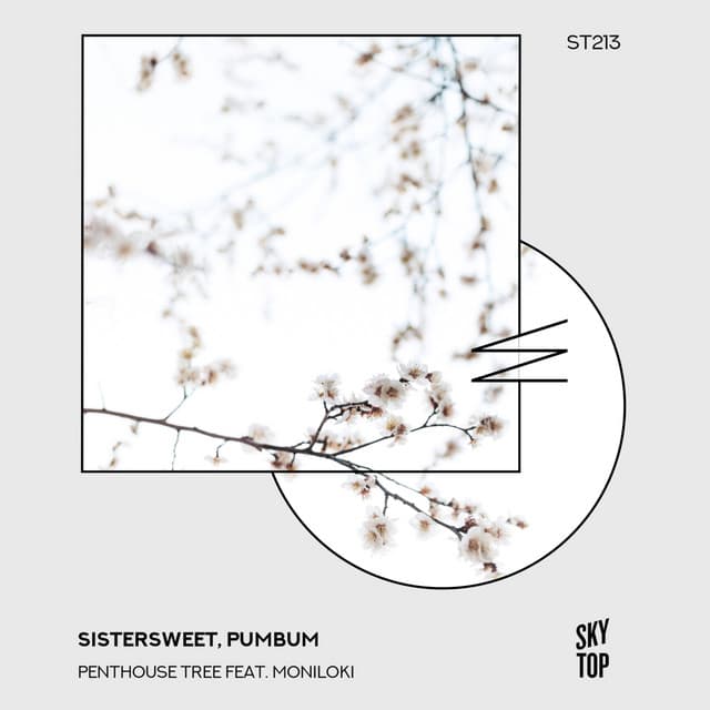 Penthouse Tree - Extended Night Mix cover art