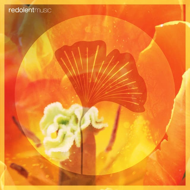 Loco Morocco - DJ CHUS Remix cover art