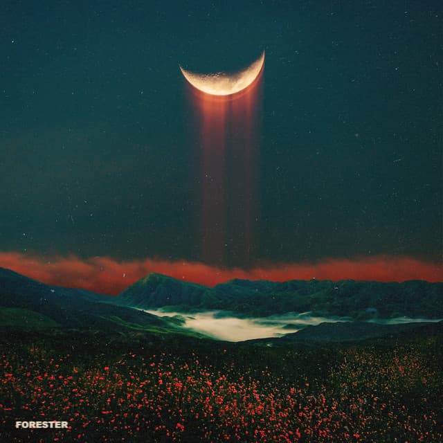 Sunrise (feat. Madeline Megery) cover art