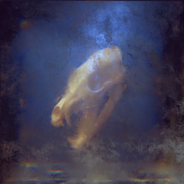 Monster (feat. Matty Mullins) cover art