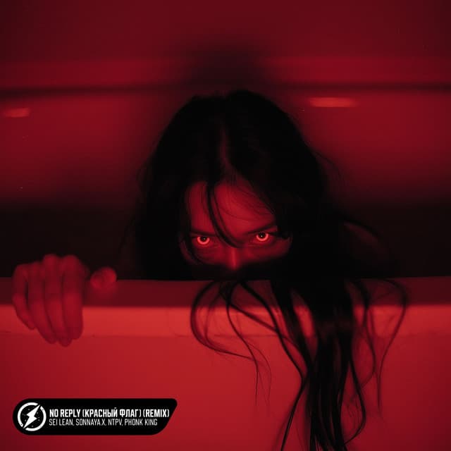 NO REPLY (красный флаг) [Remix] cover art